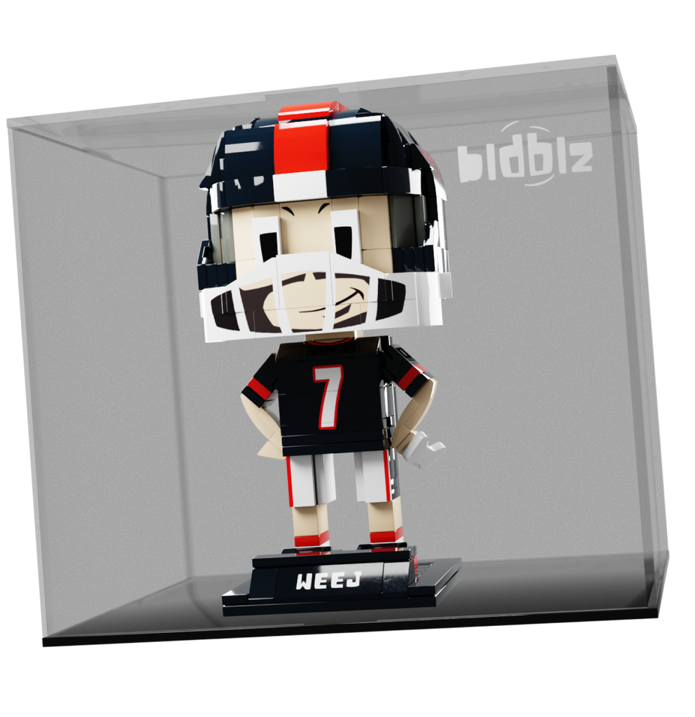 BLDBLZ + CASE
