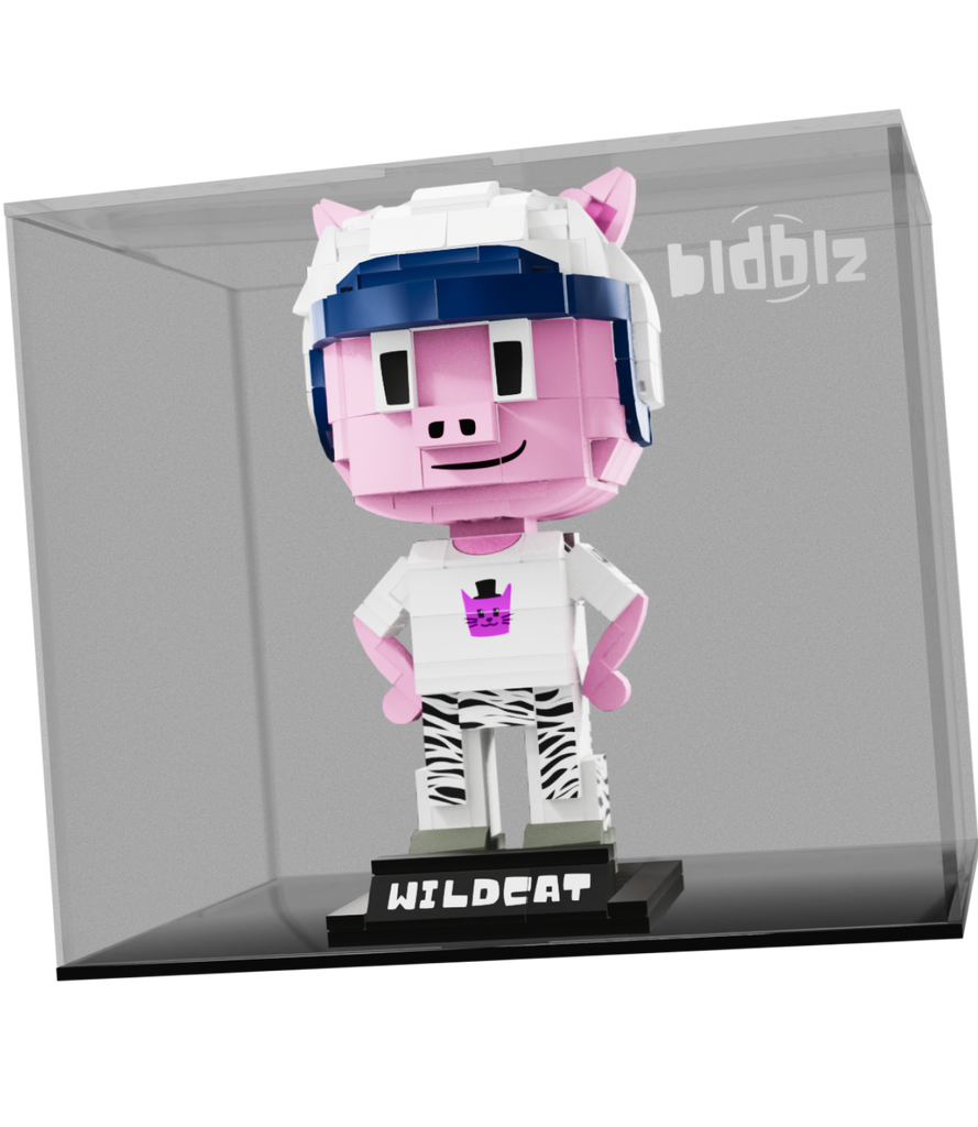 BLDBLZ + CASE